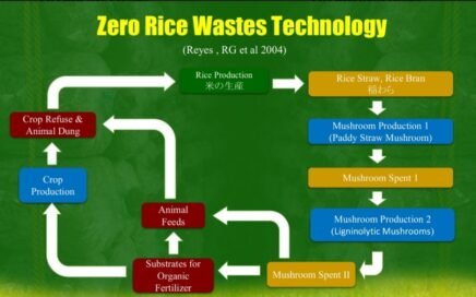 Zero-Rice-Waste-Technology