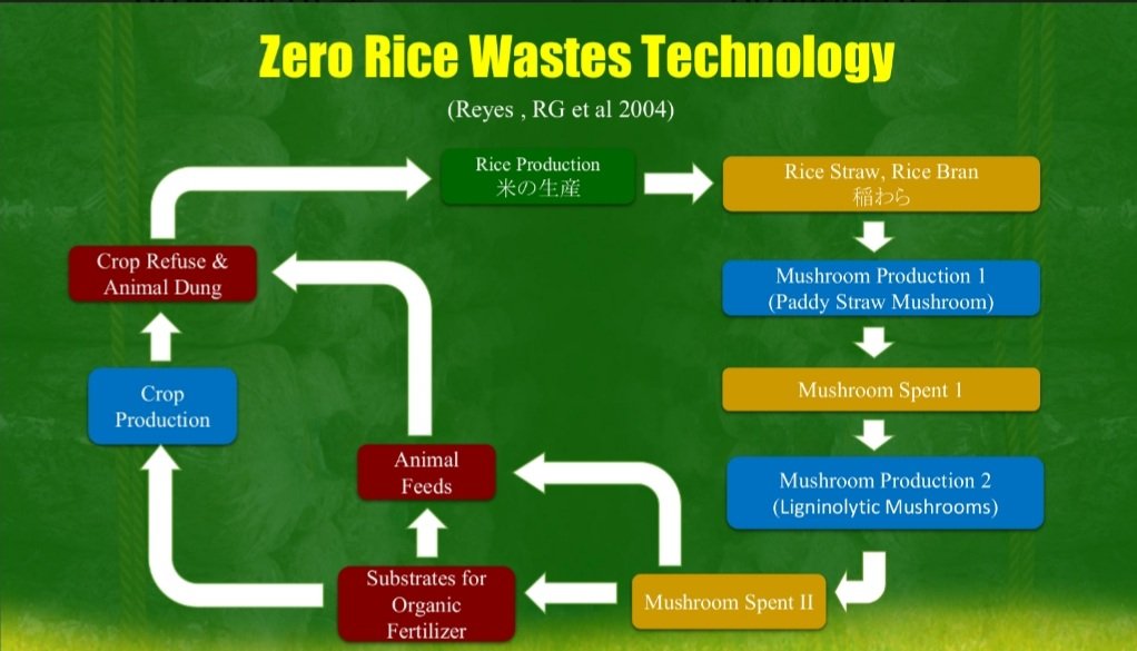 Zero-Rice-Waste-Technology